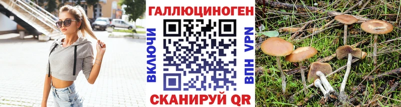 блэк спрут tor  мориарти как зайти  Галлюциногенные грибы Psilocybe  Кологрив 