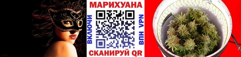 blacksprut как зайти  маркетплейс официальный сайт  Бошки Шишки SATIVA & INDICA  Кологрив 